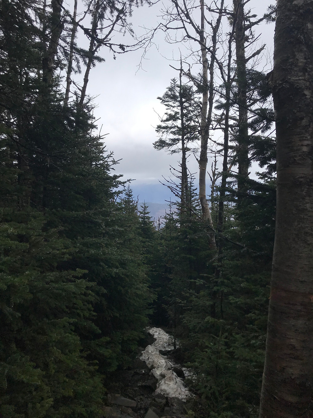 Hale Brook Trail