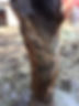 Turbos leg #2 april 15 2019.jpg