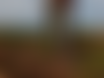 Biotecnología en cultivos: Qué es, para qué se usa y qué críticas despierta