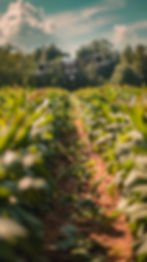 un-dron-esta-volando-sobre-un-campo-verde-exuberante-capturando-imagenes-de-las-plantas-qu