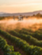 drones-que-despliegan-pesticidas-con-precision-exacta-en-un-entorno-agricola-autonomo.jpg