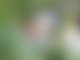 El Agromarketing está Online