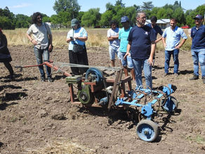 El INTA desarrolla un tractor bebé para reemplazar la tracción animal en las pequeñas superficies