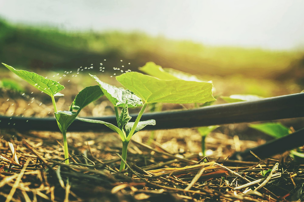 La Huella Hídrica: la parte del agua que no vemos