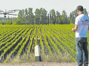 Innovaciones en agrotecnología