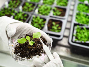 La tecnología como aliado para la agricultura sustentable