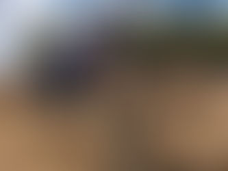 Siembra y fertilización en maÃz: la explosión de la agricultura digital