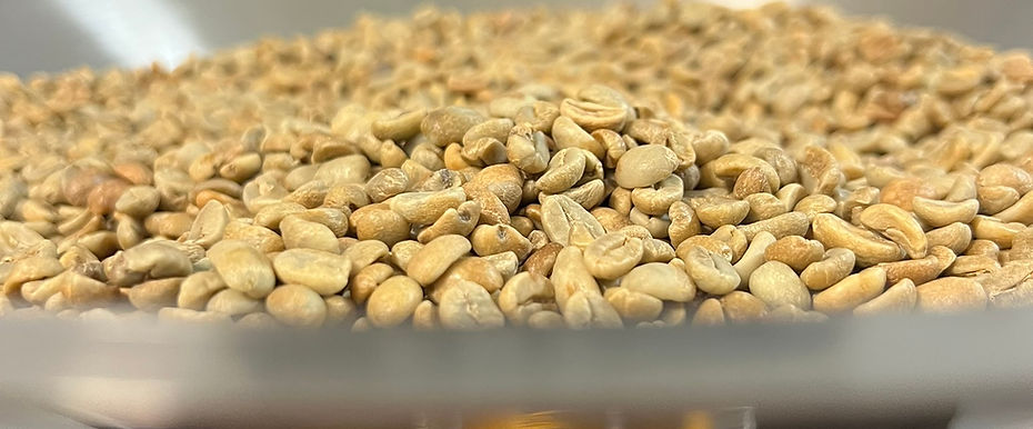 Green Coffee in the Hopper