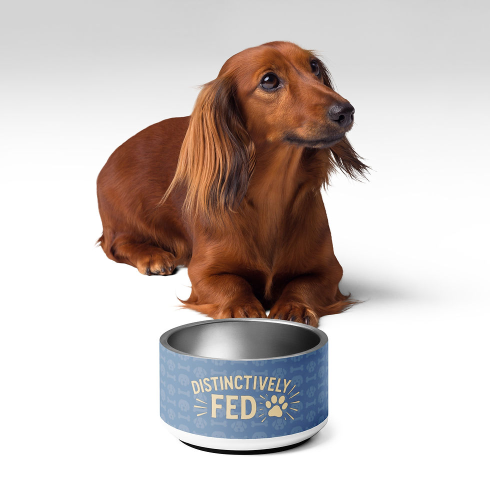 Thumbnail: Pet bowl