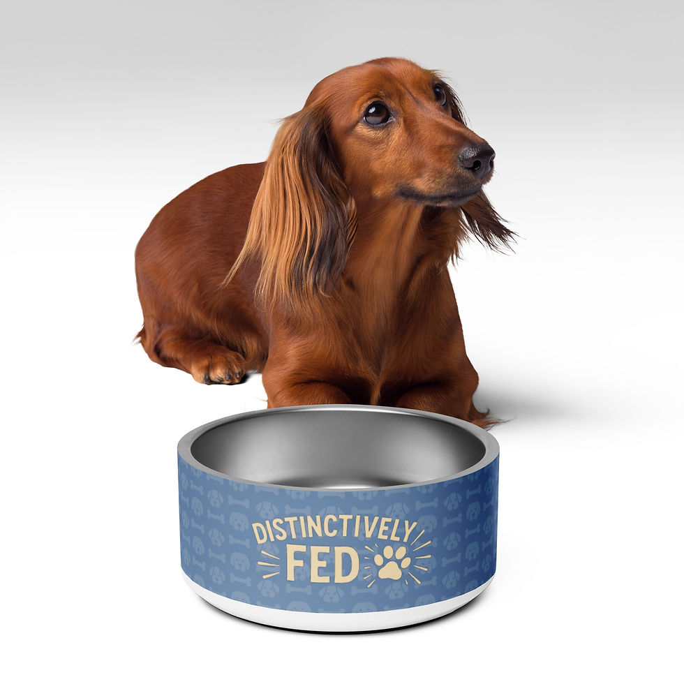 Thumbnail: Pet bowl