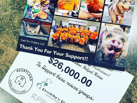 Fundraising for local animal rescues!