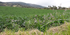 20190307_165131[1].jpg