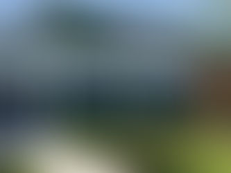 The Rise of Trulieve Cannabis Corp.: Florida’s Cannabis Giant — and the Question of Power