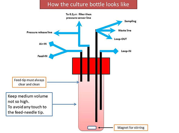 bottle describtion2.jpg