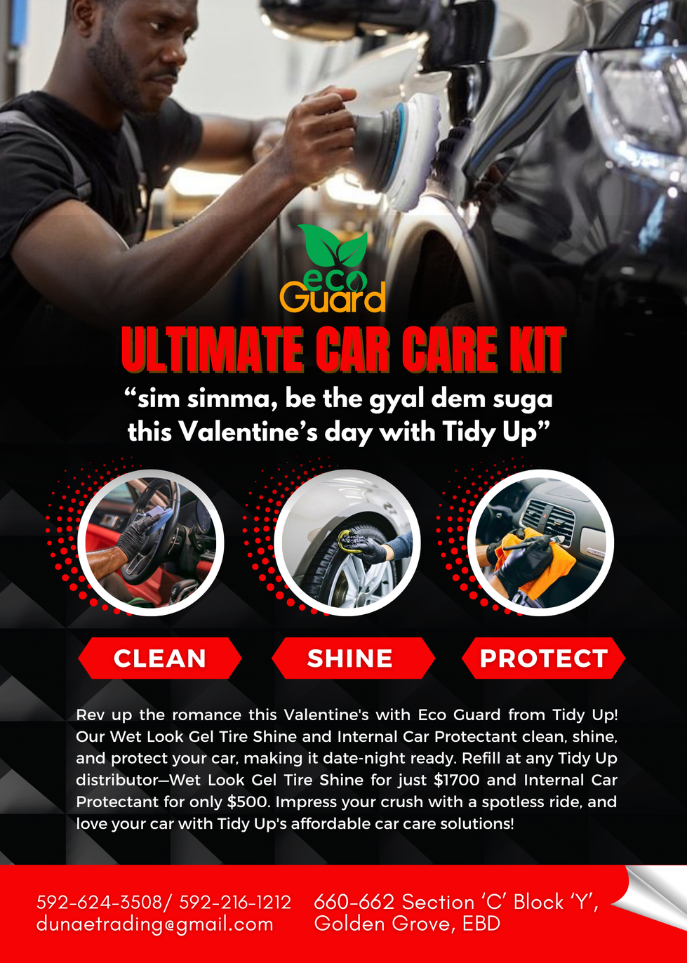 Tidy Car Care Kit