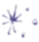 Website design elements (7).png