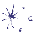 Website design elements (7).png