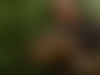 Een prachtige schub gestrikt door Bas!