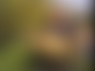 De Mensen achter BBoats