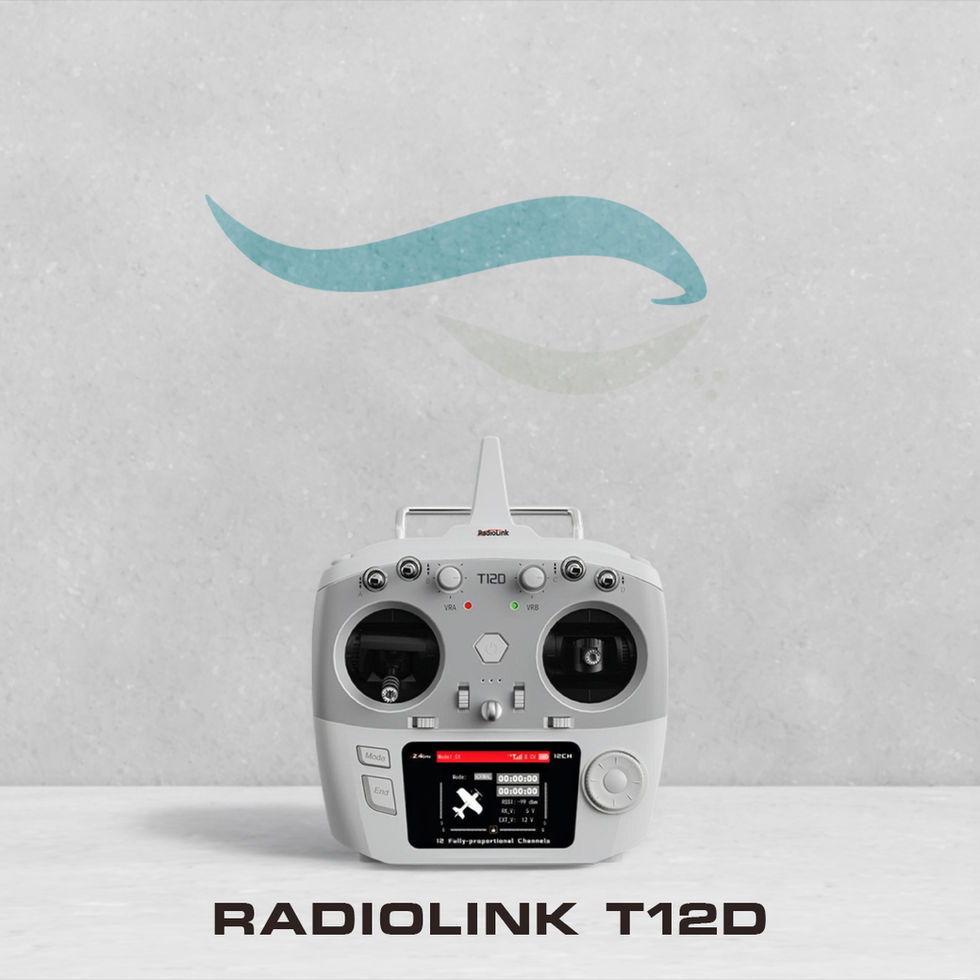 Radiolink T12D handzender