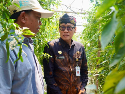 Duta Petani Andalan, Kisah Sukses Petani Milenial Terapkan Smart Farming