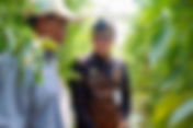 Duta Petani Andalan, Kisah Sukses Petani Milenial Terapkan Smart Farming