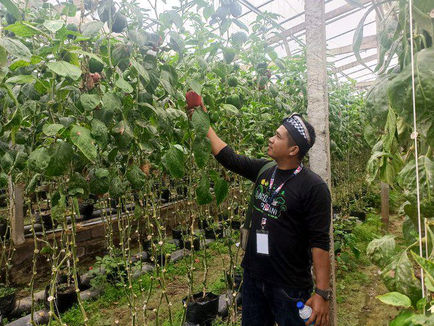 Kisah Petani Milenial di Perbatasan, dari Montir hingga Kembangkan Pertanian Terpadu