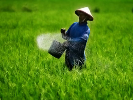 Tiga Sub-sektor Jadi Kunci Kenaikan Nilai Tukar Petani pada Bulan Maret