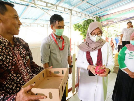 Dengan Inovasi Packing House, Petani Banyuwangi Optimalkan Hasil Panen Hingga Ekspor ke Mancanegara