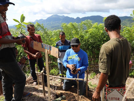 Peduli Konservasi Lahan, Kelompok Tani NTT Budidaya Tanaman Perkebunan