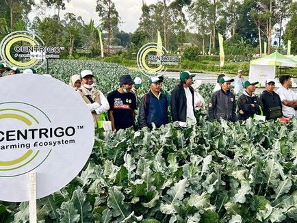 Centrigo, Ekosistem Pertanian Berkelanjutan untuk Tingkatkan Produktivitas Petani