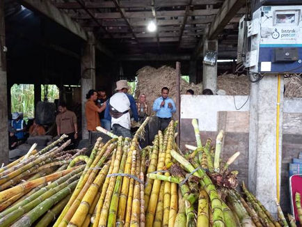 Kilang Tebu Hemat 60 Persen, Ikuti Jejak Kelompok Tani Inovatif dari Sumbar Ini