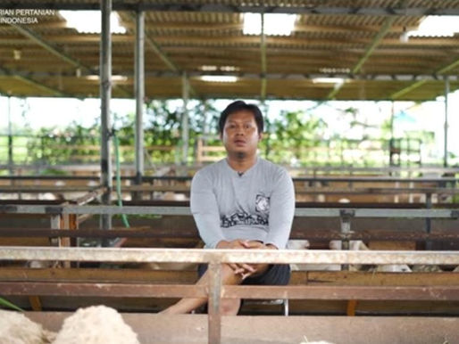 Dian Widianto, Lulusan S2 UGM Sukses Bangun Kampung Ternak Domba di Tegal