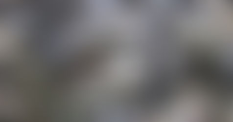 Panduan Memelihara Ikan Lele Agar Cepat Besar dengan Hasil Melimpah