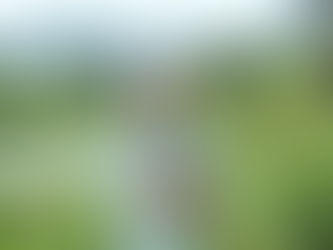 Imas Wartisih, Eks Suster yang Sukses Jadi Distributor Sayuran