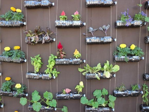 Vertikal Garden, Solusi Buang Polusi Dengan Memanfaatkan Lahan Sempit