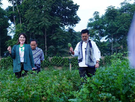 Urgensi Petani Milenial Hadir di Pedesaan