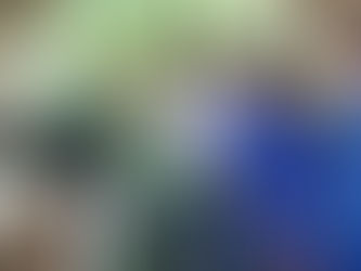 Kisah Sukses Kelompok Tani di Lampung Usaha Ternak Kambing