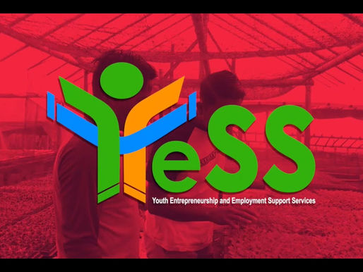 Program YESS Kementan Bekali Petani Milenial Berbagai Skill