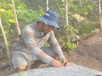 Gerfasius Simon, Mantan Kades Sukses Jadi Petani Cabai dengan Omzet Puluhan Juta