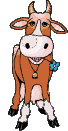 kuh1.gif