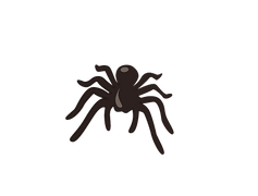 unit 9 graphics-25.png
