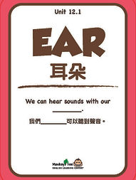 unit 12-flashcard_頁面_02.jpg