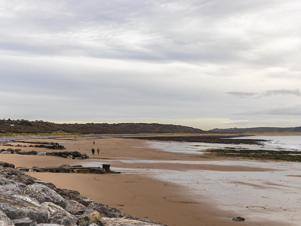Newton Beach 2.jpeg