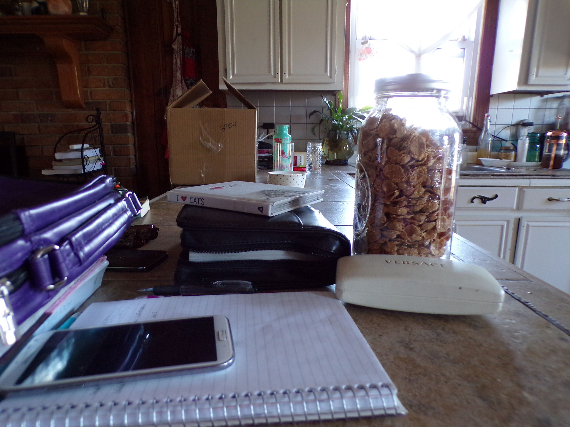 Messy House