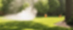 wide shot of tick spray treatment on trees and lawn.jpg