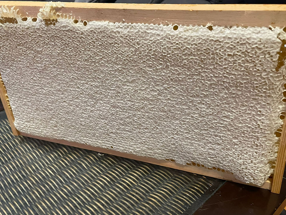 HONEY FRAME