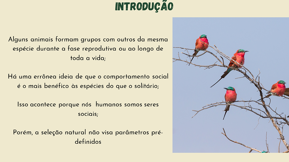 Ecologia do comportamento social 02