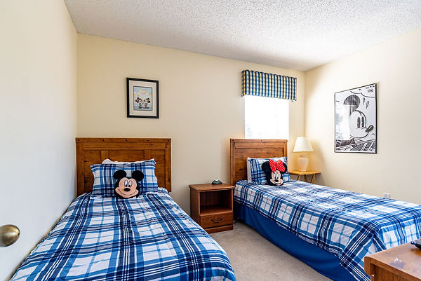 mickey twin.jpeg