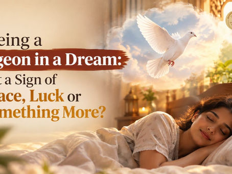 Seeing a Pigeon in a Dream